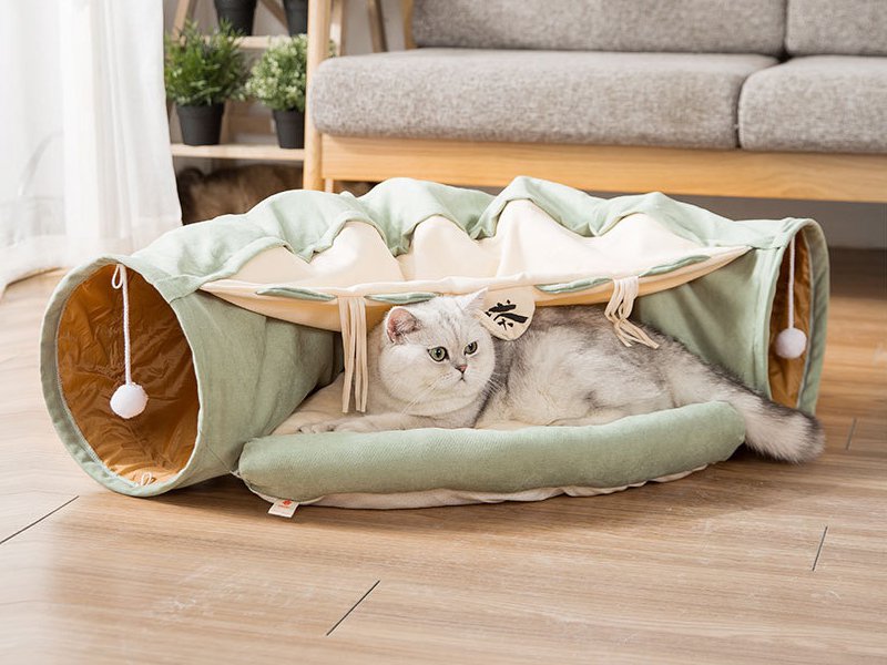 pawslife cat tunnel and bed