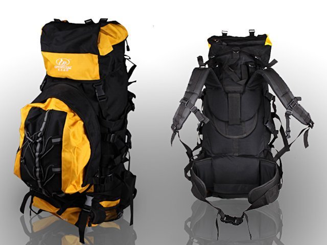 ski bag for skis and boots