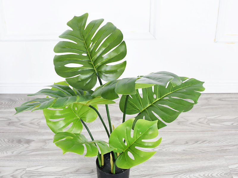 60cm Potted Artificial Monstera Plant @ Crazy Sales - We have the best ...