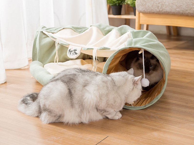 Foldable Cat Tunnel And Bed Crazy Sales We Have The Best Daily Deals