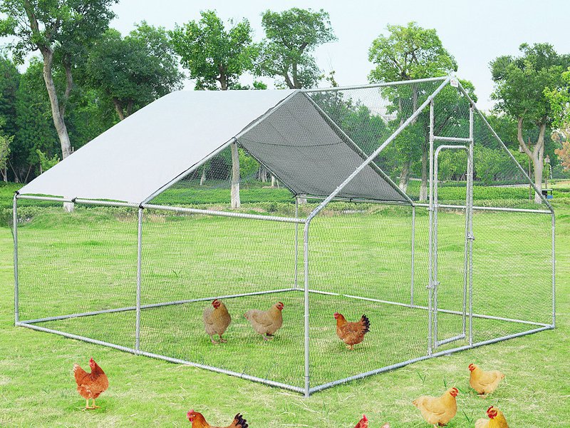 Metal Chicken Run - 4m x 3m Crazy Sales - We have the 